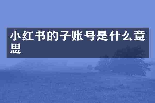 小红书的子账号是什么意思