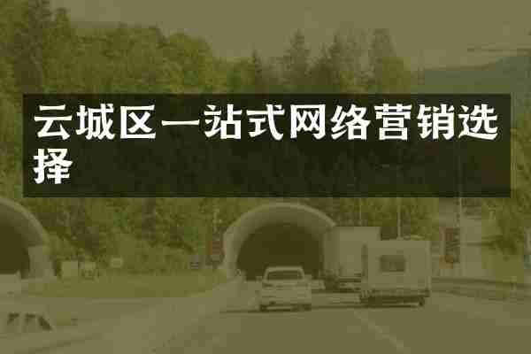 云城区一站式网络营销选择