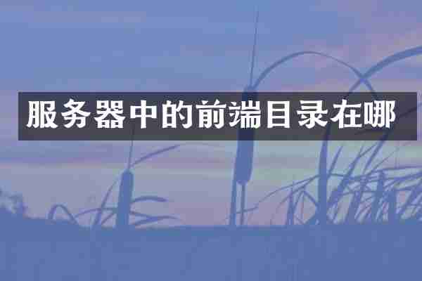 服务器中的前端目录在哪