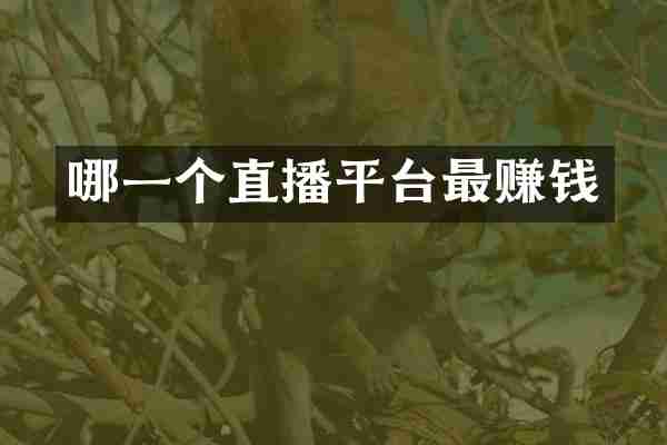 哪一个直播平台最赚钱