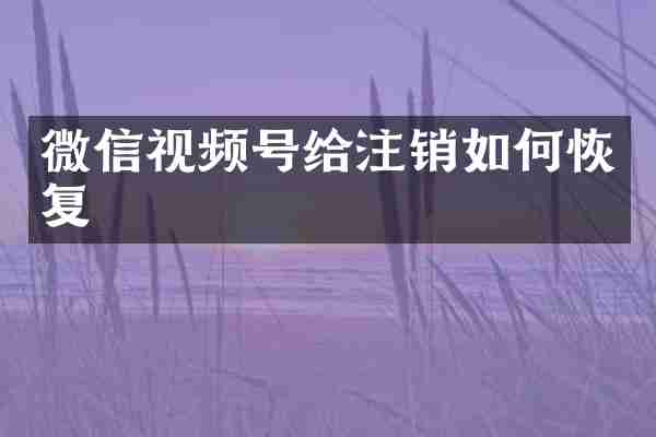 微信视频号给注销如何恢复