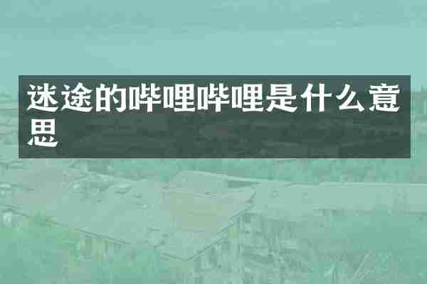 迷途的哔哩哔哩是什么意思