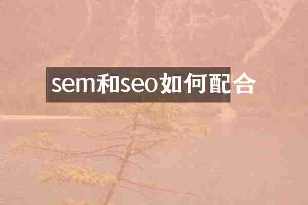 sem和seo如何配合