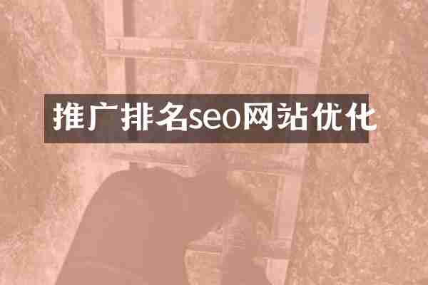 推广排名seo网站优化