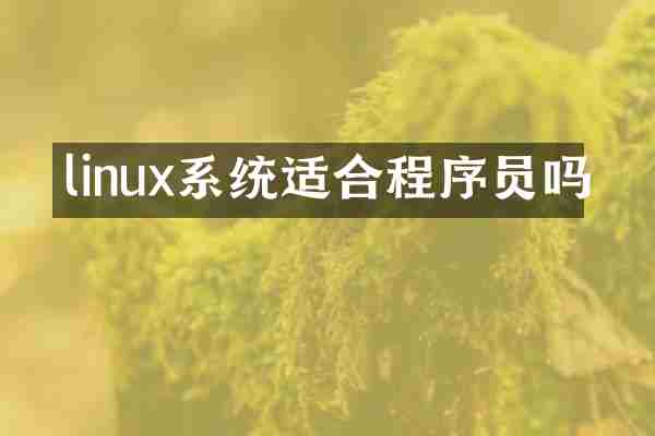 linux系统适合程序员吗