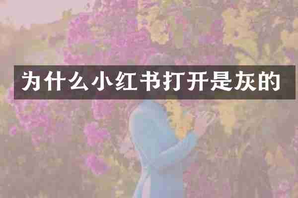 为什么小红书打开是灰的