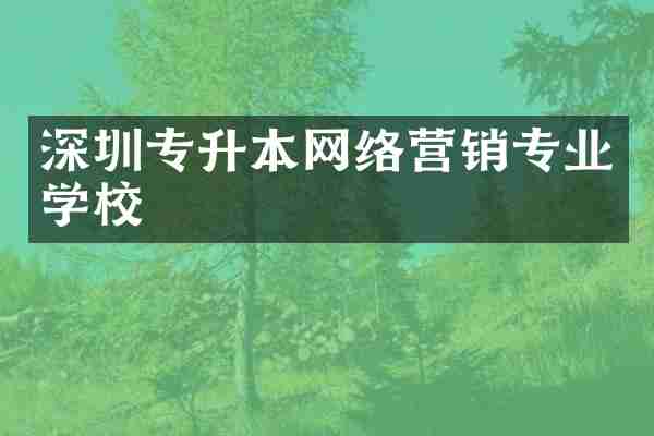 深圳专升本网络营销专业学校