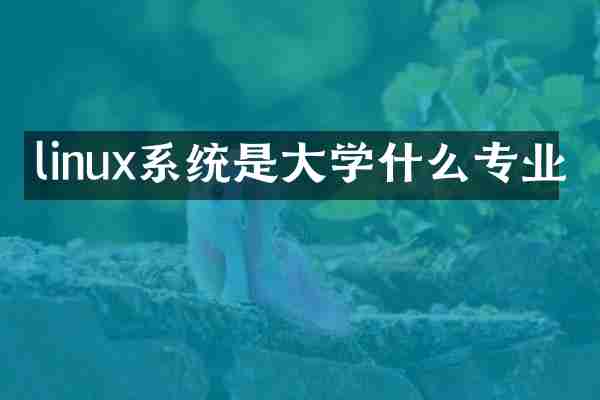 linux系统是大学什么专业