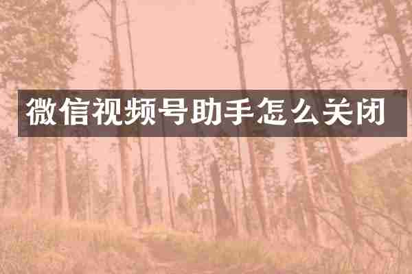 微信视频号助手怎么关闭