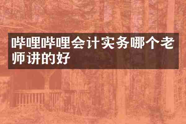 哔哩哔哩会计实务哪个老师讲的好