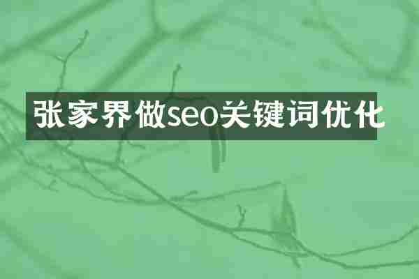 张家界做seo关键词优化
