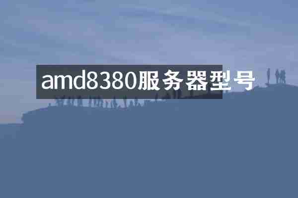 amd8380服务器型号