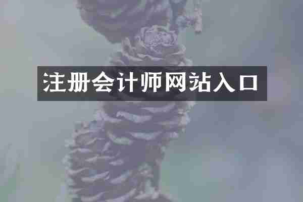 注册会计师网站入口