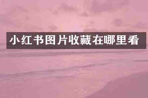 小红书图片收藏在哪里看
