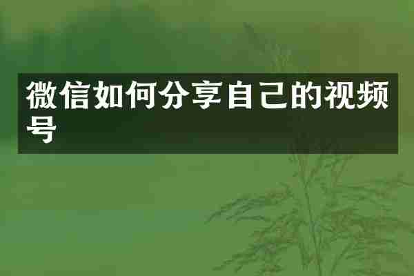 微信如何分享自己的视频号