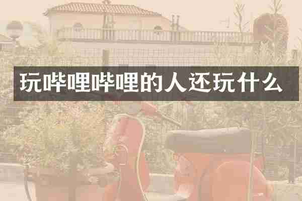 玩哔哩哔哩的人还玩什么