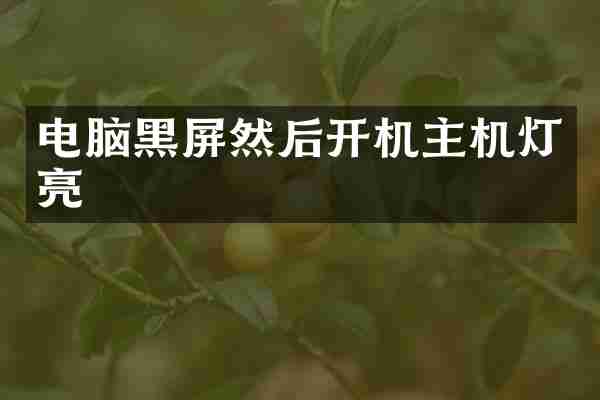 电脑黑屏然后开机主机灯亮