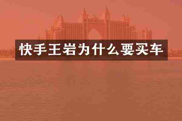 快手王岩为什么要买车