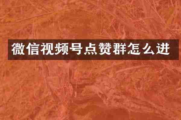 微信视频号点赞群怎么进