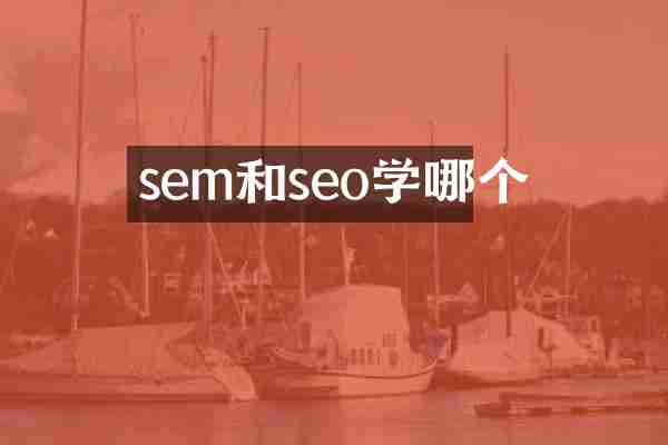 sem和seo学哪个