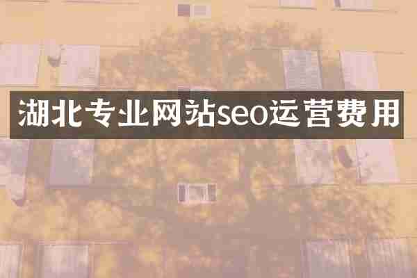湖北专业网站seo运营费用
