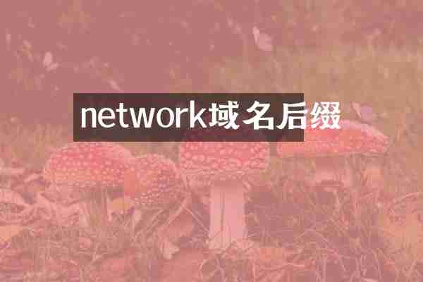 network域名后缀