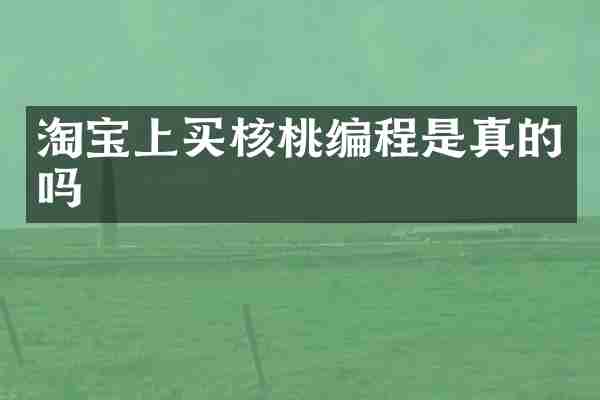 淘宝上买核桃编程是真的吗