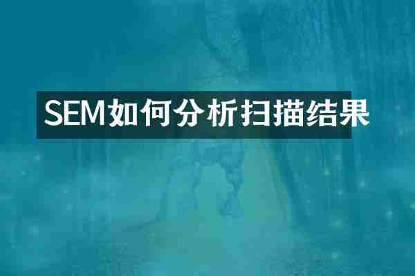 SEM如何分析扫描结果