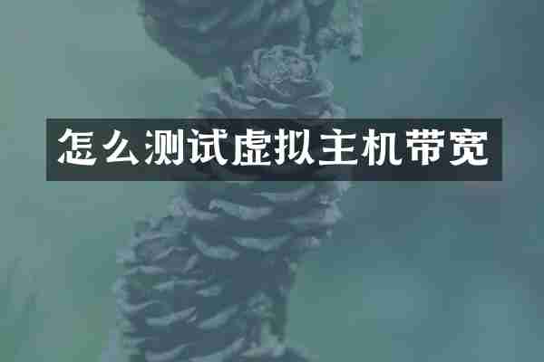 怎么测试虚拟主机带宽