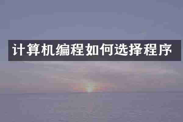 计算机编程如何选择程序