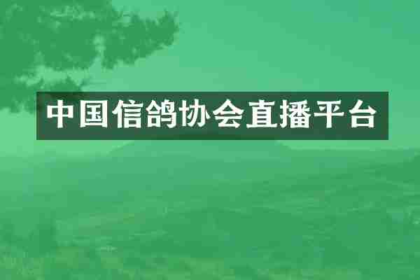 中国信鸽协会直播平台