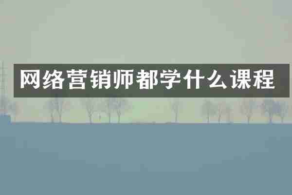 网络营销师都学什么课程