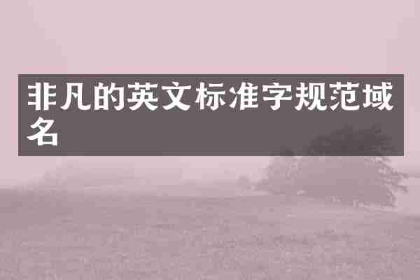 非凡的英文标准字规范域名