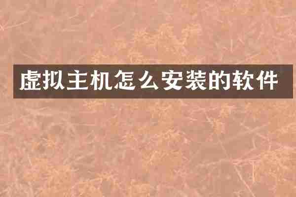 虚拟主机怎么安装的软件