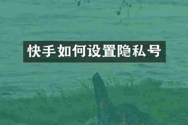 快手如何设置隐私号