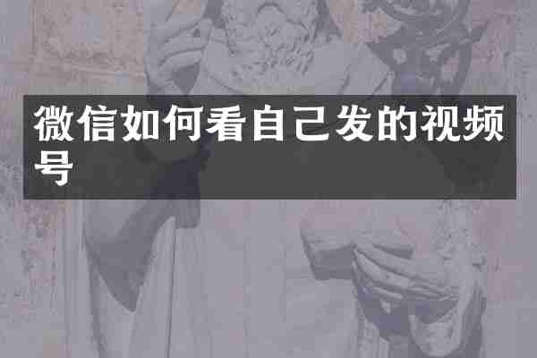 微信如何看自己发的视频号