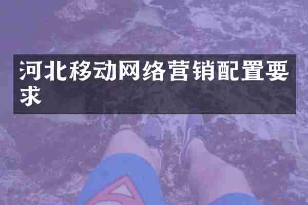 河北移动网络营销配置要求