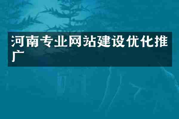 河南专业网站建设优化推广