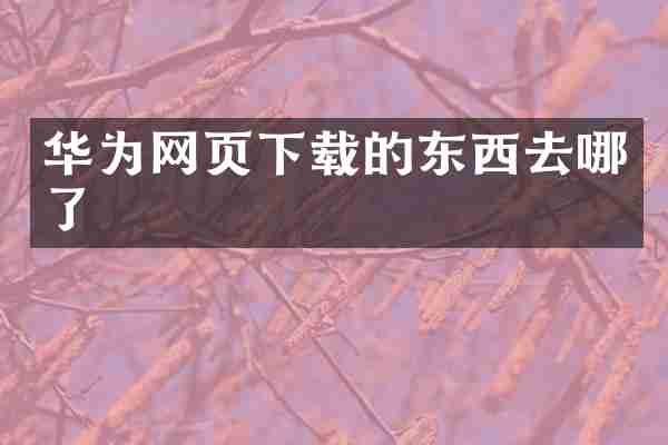华为网页下载的东西去哪了