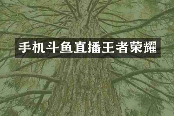 手机斗鱼直播王者荣耀
