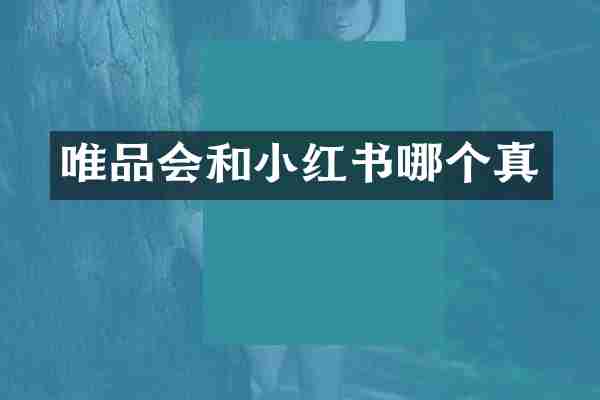 唯品会和小红书哪个真