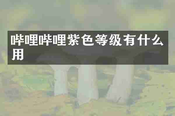 哔哩哔哩紫色等级有什么用
