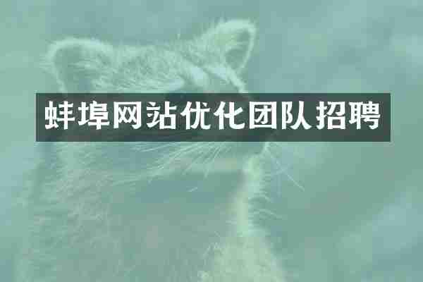 蚌埠网站优化团队招聘