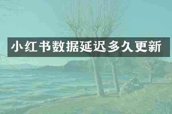 小红书数据延迟多久更新