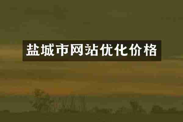 盐城市网站优化价格
