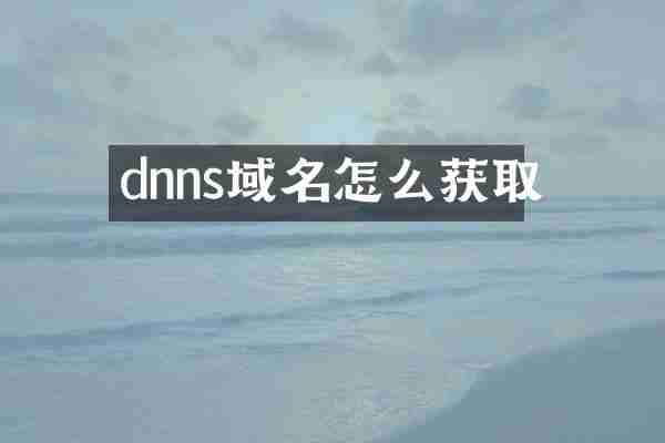 dnns域名怎么获取