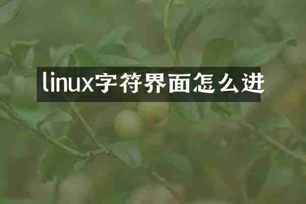 linux字符界面怎么进