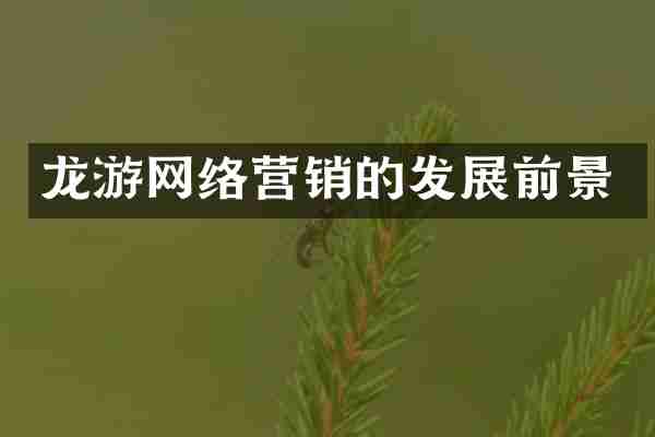 龙游网络营销的发展前景