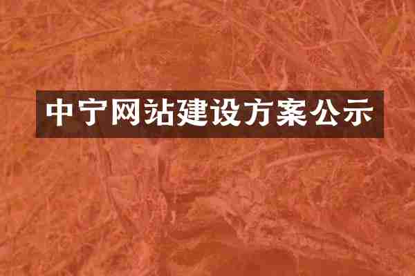 中宁网站建设方案公示