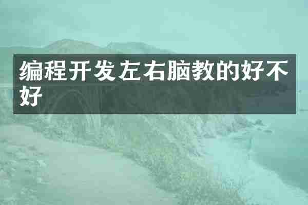 编程开发左右脑教的好不好